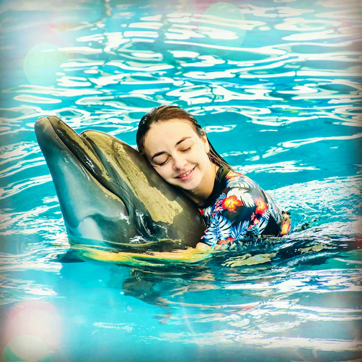 Dolphin Show Phuket Tickets Price